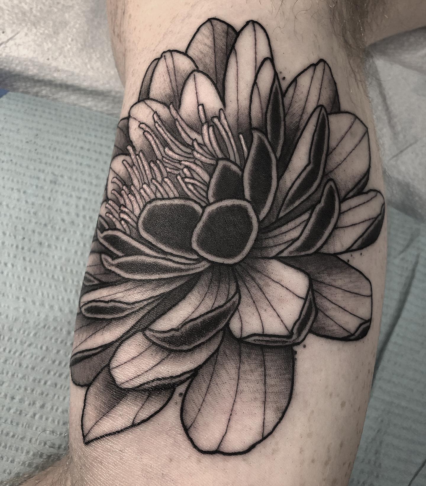 Black Water Lily Tattoo -jacobsenart